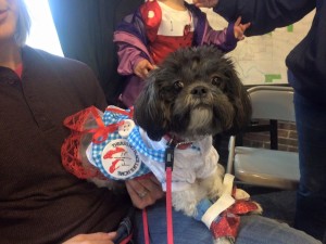 cutest dog costume